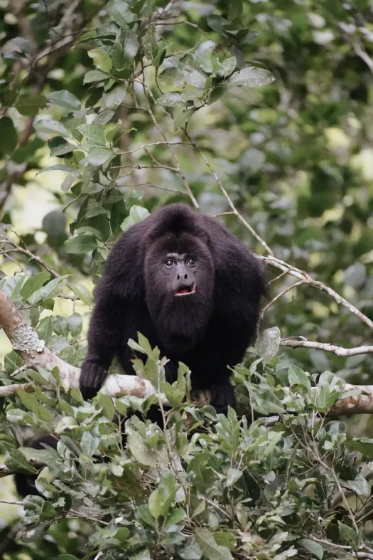 Jeff's Tour – Luxury 10-Day Guatemala Escape For Two - Image 3